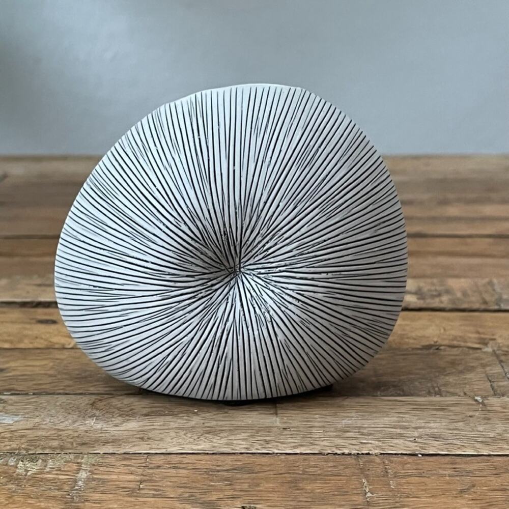 Wrought Studio Baudilia Sand Dollar Table Vase